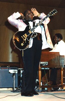 king.jpg (25472 bytes)